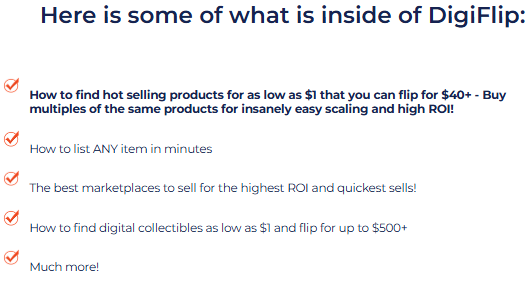DigiFlip Review: Unlock the Secret to Flipping Products from $1 to $500+ Online